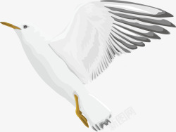 白鸽飞翔动物手绘矢量图素材