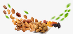 各种坚果素材