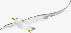 白色飞翔白鸽平衡素材