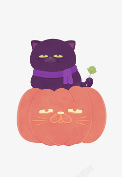 南瓜猫和猫素材