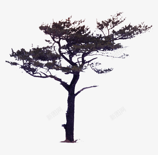 树木png免抠素材_88icon https://88icon.com psd树线稿 中国风 素描树 艺术画 阴影