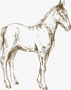 手绘素描动物马矢量图素材