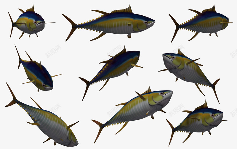 鱼类海底动物各种鱼png免抠素材_88icon https://88icon.com 3d 3d卡通 3d卡通鱼 卡通 各种鱼 大海 海底 海洋 海洋素材 鱼