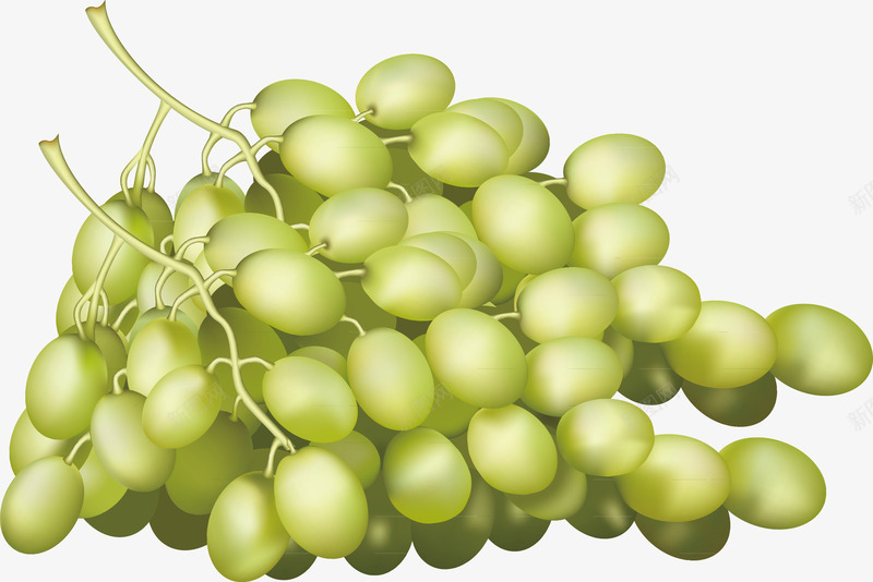 葡萄手绘图案矢量图ai免抠素材_88icon https://88icon.com 图案 手绘图案 葡萄 葡萄手绘 矢量图