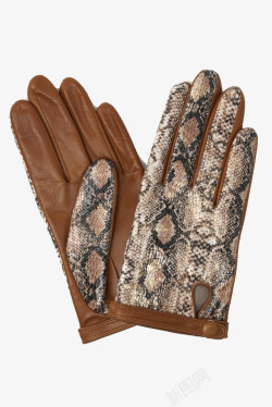 棕色皮质蛇纹手套素材