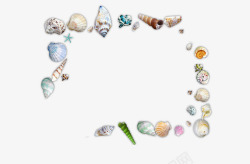 各种海螺贝壳沙滩大海素材