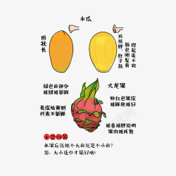 如何挑选木瓜和火龙果素材