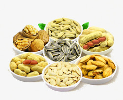 各种坚果美食预览图素材