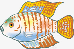 插画品种鱼矢量图素材