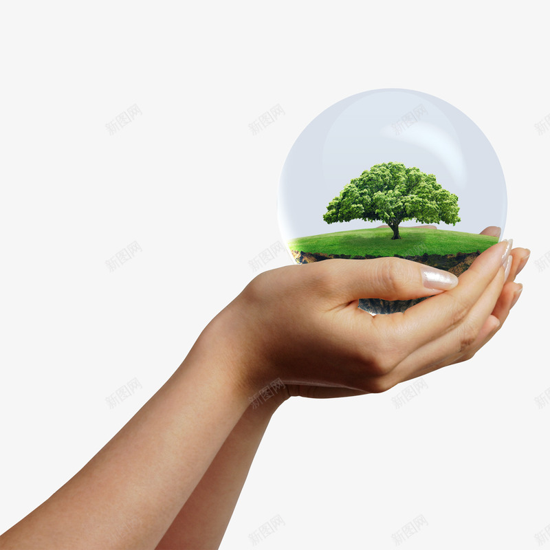 手掌心的水晶球psd免抠素材_88icon https://88icon.com 手掌心 水晶 水晶球 透明