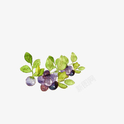 小清新简约水彩手绘紫色葡萄素材