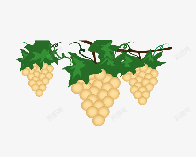 一片葡萄园png免抠素材_88icon https://88icon.com 叶子 水果 葡萄 葡萄园