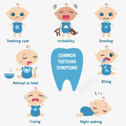 宝宝的牙齿素材
