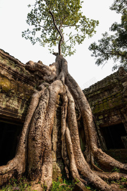 柬埔寨王国柬埔寨王国自然风景高清图片