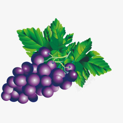 手绘卡通鲜甜紫葡萄图P矢量图素材