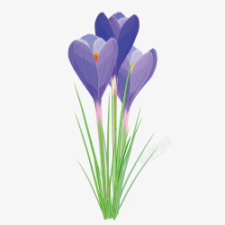 紫色质感花朵花草素材