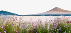 富士山日落素材