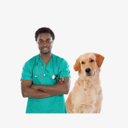 宠物医生和狗狗素材
