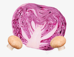 紫色包菜素材