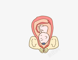 胎儿入盆了素材