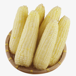 熟玉米棒子有机美味玉米高清图片