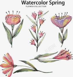 5款水彩绘春季花卉矢量图素材