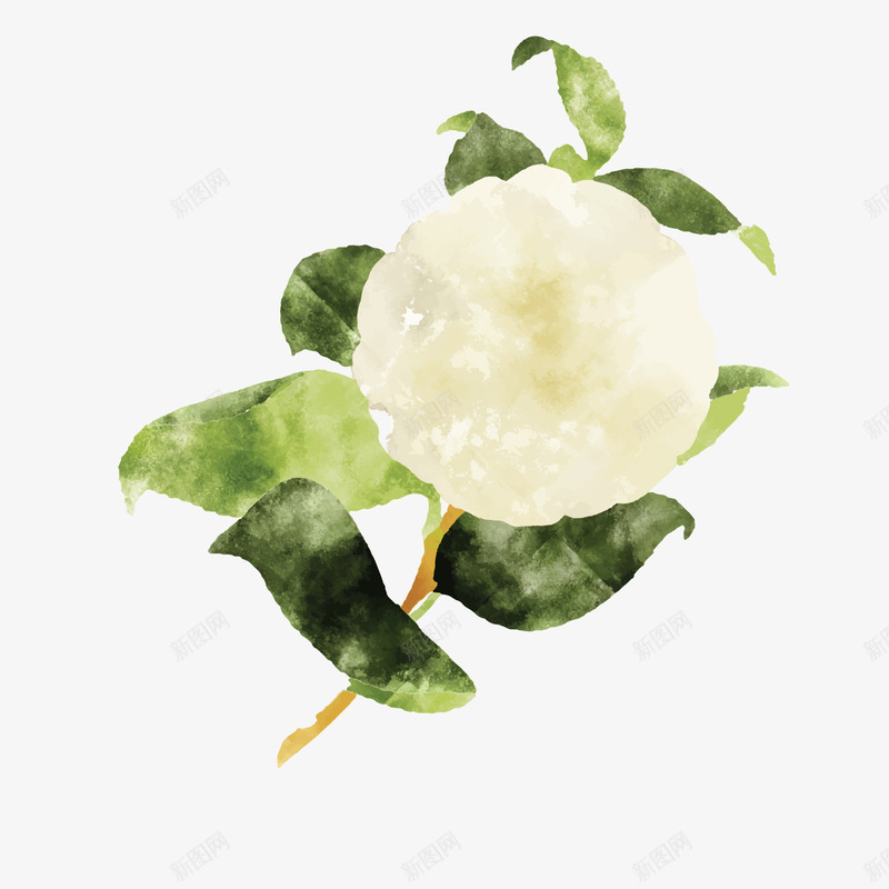 卡通创意手绘花卉矢量图ai免抠素材_88icon https://88icon.com 彩绘 手绘 植物 白色的花朵 绿色的叶子 花卉 矢量图