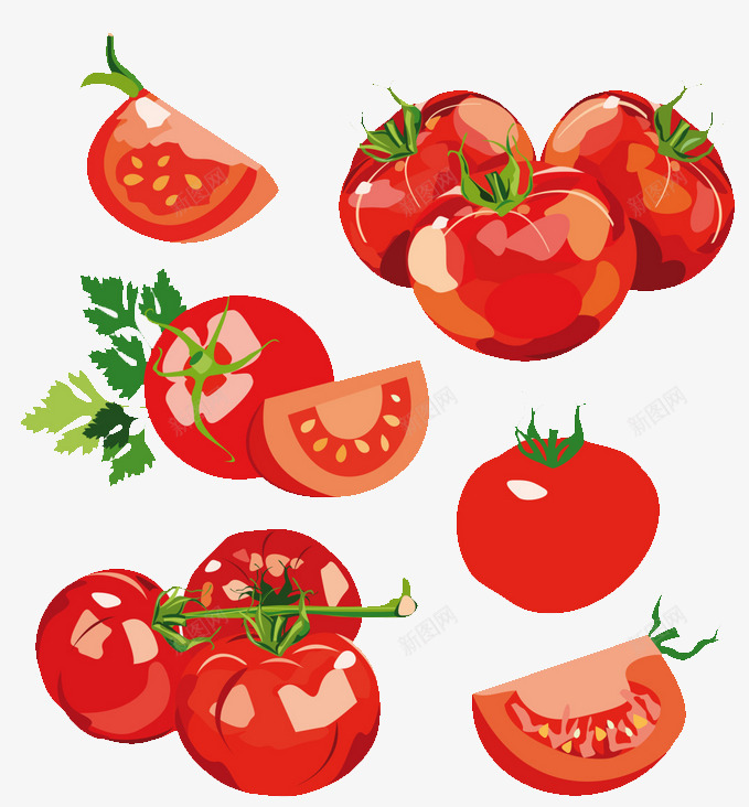 写实西红柿png免抠素材_88icon https://88icon.com 写实 各种形态西红柿 有机 绿色 蔬菜 西红柿