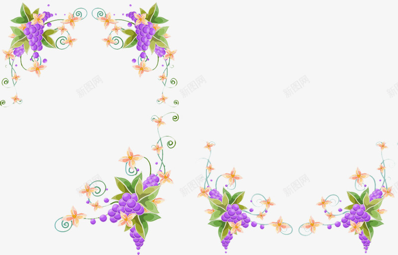 葡萄藤png免抠素材_88icon https://88icon.com 创意装饰 植物 紫色 葡萄