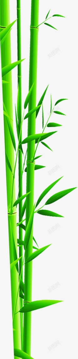 扁平手绘质感绿色的竹子素材