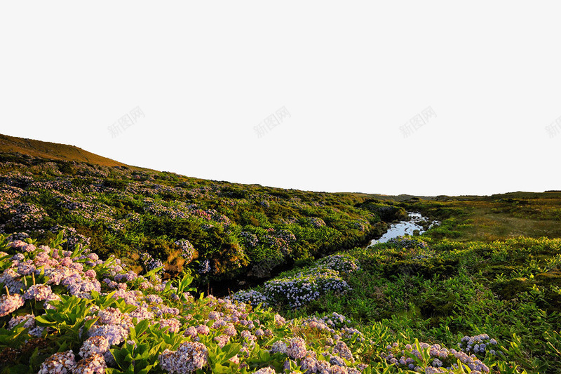 葡萄牙景区亚速尔群岛png免抠素材_88icon https://88icon.com 亚速尔群岛 旅游景区 著名景点 葡萄牙亚速尔群岛 葡萄牙景区