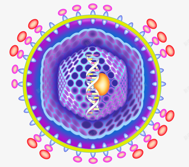 分子细胞生物科学示意图png免抠素材_88icon https://88icon.com 平面 彩绘 彩色教学图 彩色细胞 生物科学 生物细胞 细胞科学