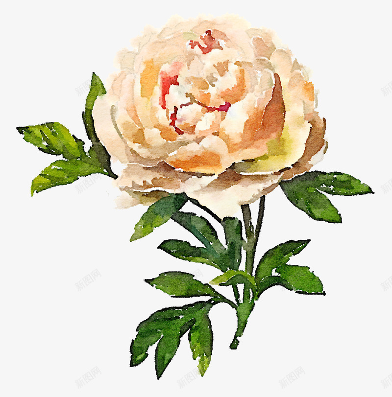 泼墨白色花朵png免抠素材_88icon https://88icon.com 一朵 卡通 叶子 手绘 桔梗 泼墨 白色 绿色 花朵