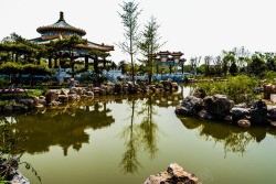 唐山南湖公园自然风景素材