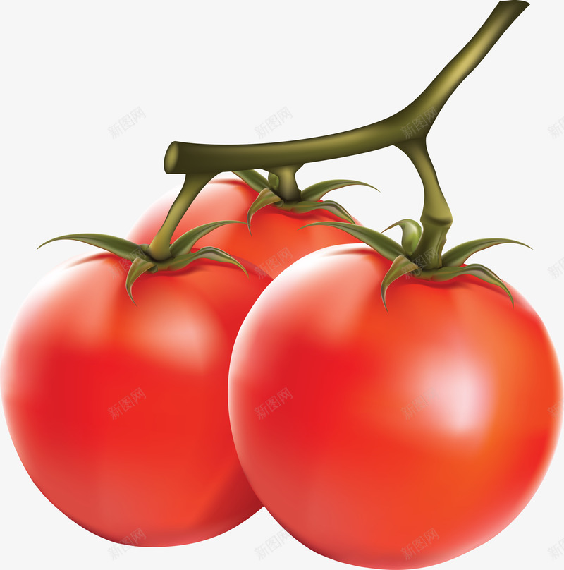 手绘质感红色的西红柿效果png免抠素材_88icon https://88icon.com 效果 红色 西红柿 质感