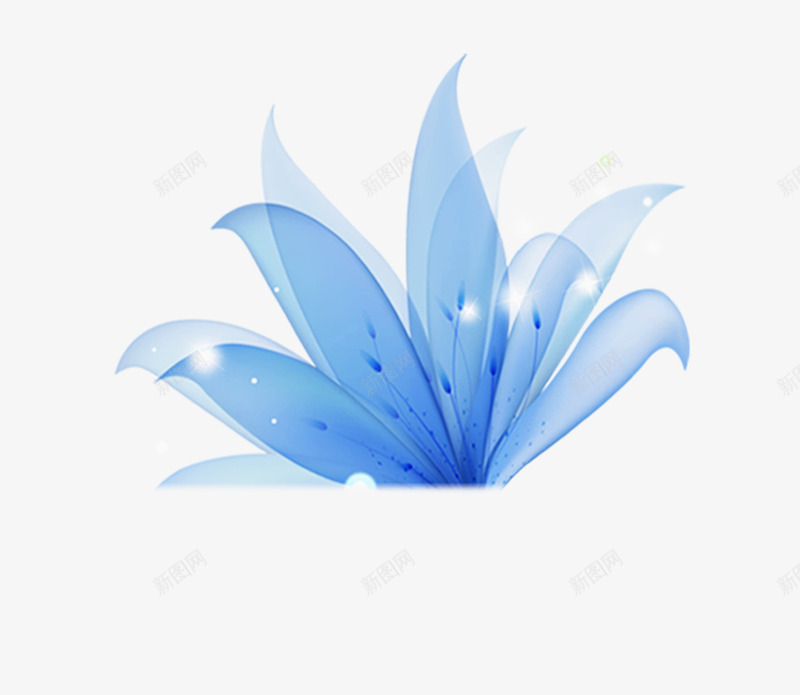 水晶花png免抠素材_88icon https://88icon.com 植物 花卉 蓝色