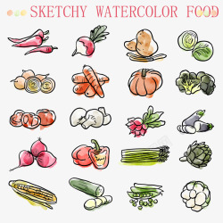 20款水彩绘蔬菜素材