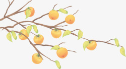 摄影手绘橘子树素材