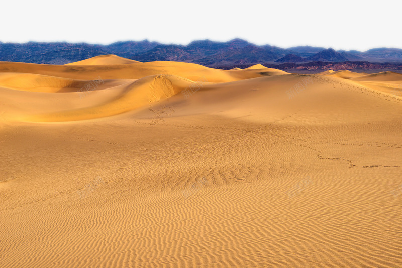 一望无垠的撒哈拉沙漠摄影png免抠素材_88icon https://88icon.com 一望无垠 摄影 撒哈拉 沙漠