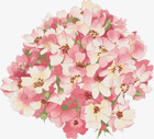 粉色花球婚纱摄影海报素材