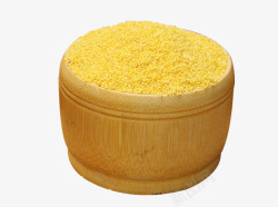 摄影粮食黄小米素材