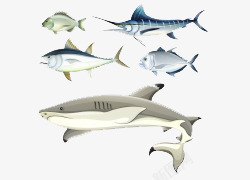 卡通手绘海洋各种鱼类插画素材