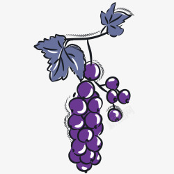 水果俯视紫色手绘葡萄素材