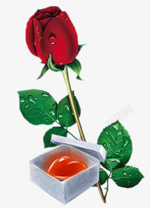 红色玫瑰水晶爱心素材