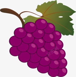 紫色的卡通带叶子的葡萄素材