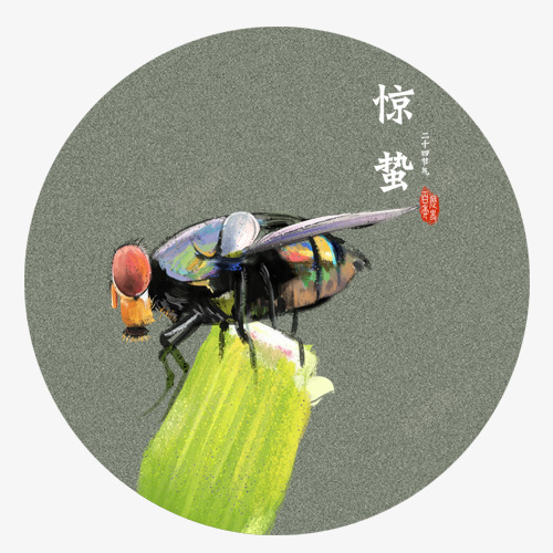 彩色质感装饰惊蛰昆虫png免抠素材_88icon https://88icon.com 二十四节气 卡通昆虫 圆形标签 惊蛰节气 红色印章 设计图