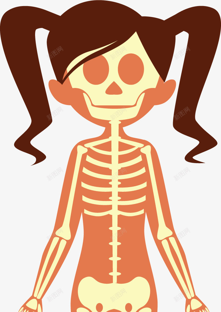 女孩人体骨骼系统矢量图ai免抠素材_88icon https://88icon.com 人体 人体骨骼 女孩骨骼 矢量png 矢量图 骨头人 骨骼 骨骼系统