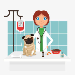 女宠物医生卡通宠物狗和宠物医生高清图片