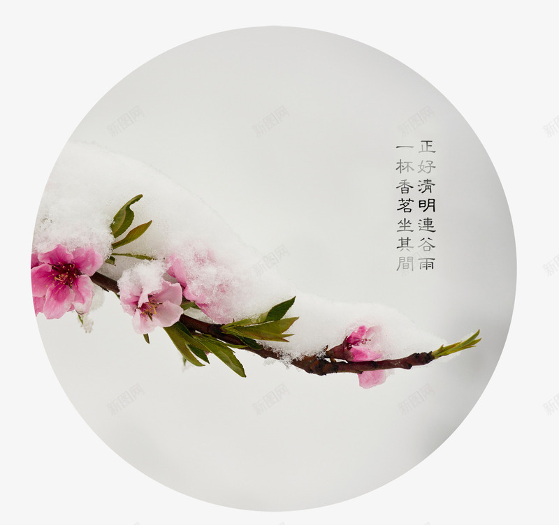 清新中国风粉色花枝谷雨节日psd免抠素材_88icon https://88icon.com 中国风 清新 清新中国风粉色花枝谷雨节日 粉色 节日 花枝 谷雨