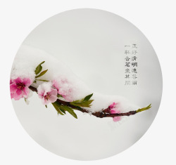 清新中国风粉色花枝谷雨节日素材